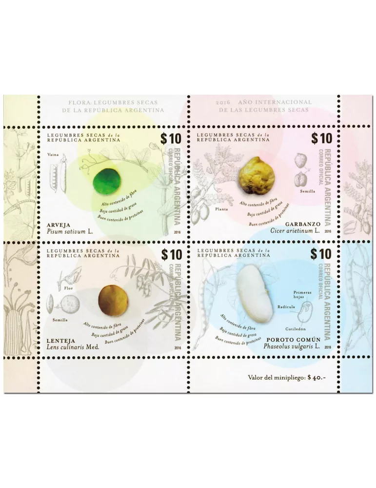 n° 149 - Timbre ARGENTINE Blocs et feuillets