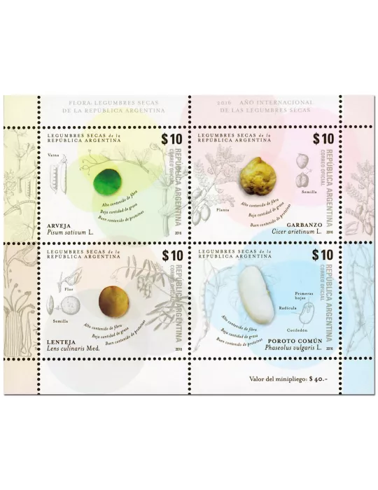 n° 149 - Timbre ARGENTINE Blocs et feuillets