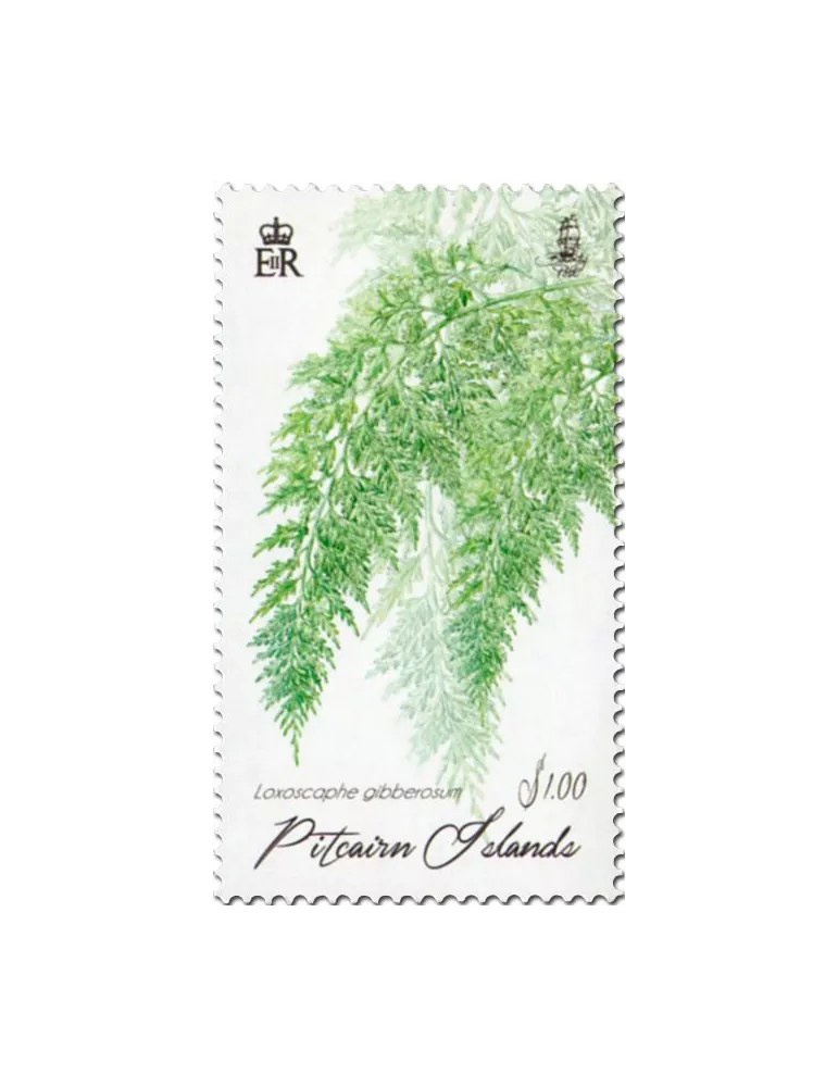 n° 883 - Timbre PITCAIRN Poste