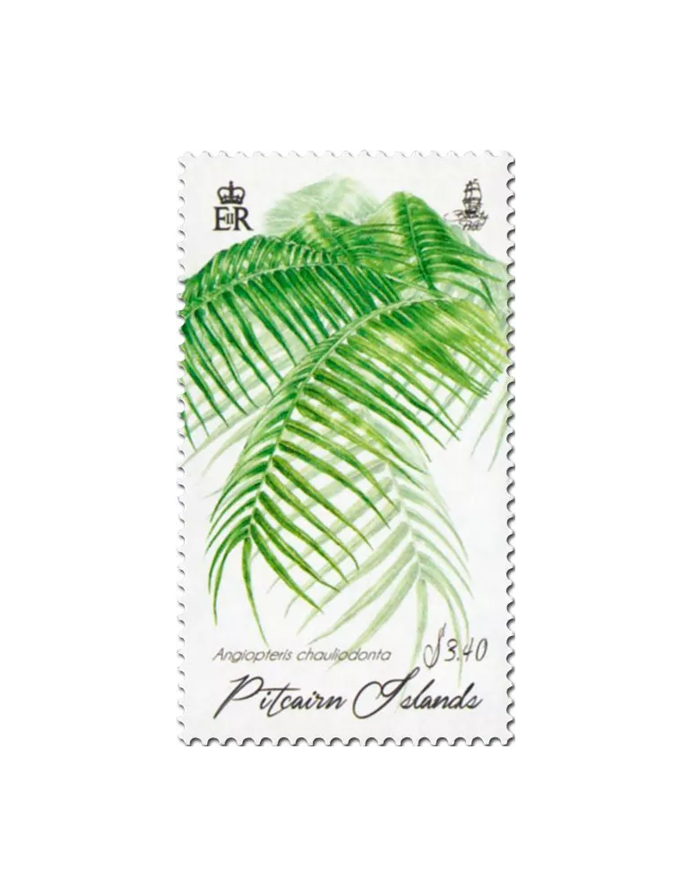 n° 883 - Timbre PITCAIRN Poste