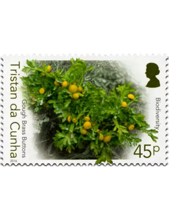 n° 1158 - Timbre TRISTAN DA CUNHA Poste