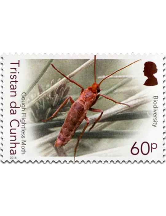 n° 1158 - Timbre TRISTAN DA CUNHA Poste