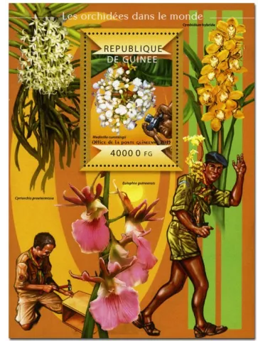 n° 1777 - Timbre GUINÉE Blocs et feuillets