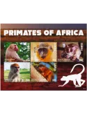 n° 6343/6347 - Timbre GAMBIE Poste
