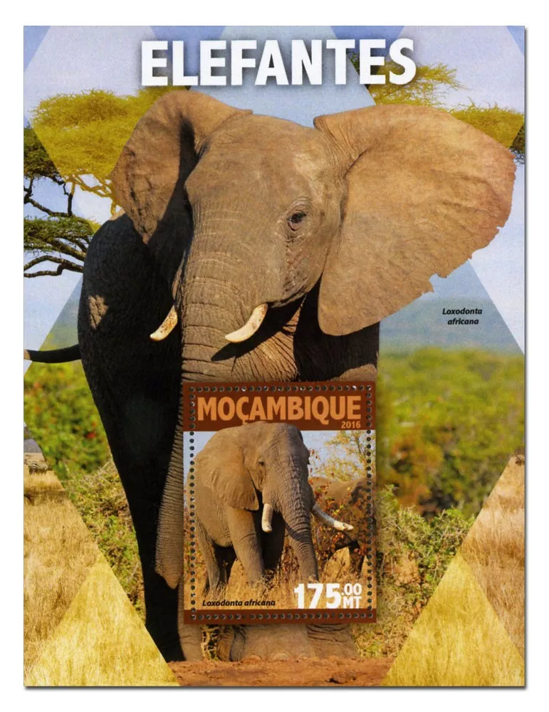 n° 1049  : Timbre MOZAMBIQUE Blocs et feuillets