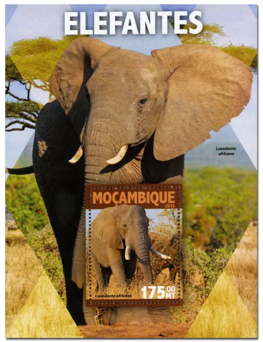 n° 1049  : Timbre MOZAMBIQUE Blocs et feuillets