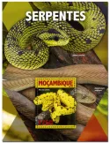 n° 1055  : Timbre MOZAMBIQUE Blocs et feuillets