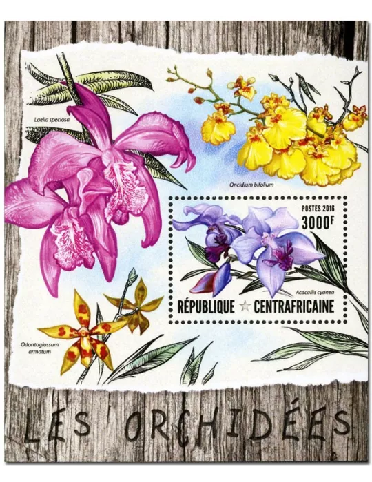 n° 985  : Timbre CENTRAFRIQUE Blocs et feuillets