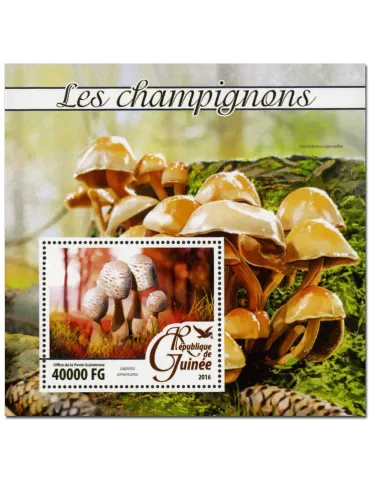 n° 1928  : Timbre GUINÉE Blocs et feuillets