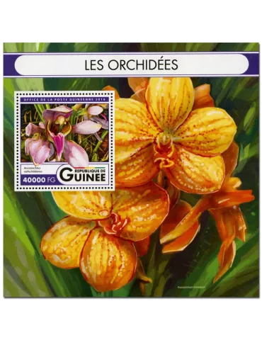 n° 1973  : Timbre GUINÉE Blocs et feuillets