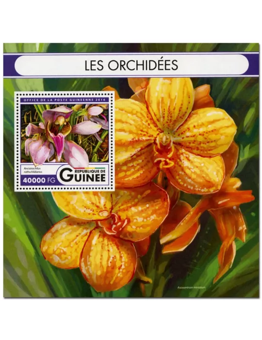 n° 1973  : Timbre GUINÉE Blocs et feuillets