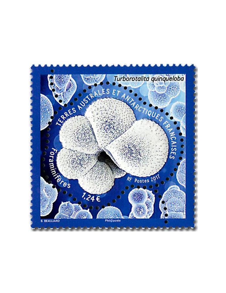 n° 804 - Timbre TAAF Poste