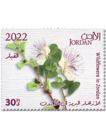 n° 2338/2347 - Timbre JORDANIE Poste
