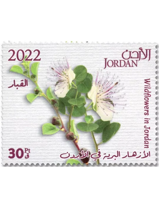 n° 2338/2347 - Timbre JORDANIE Poste