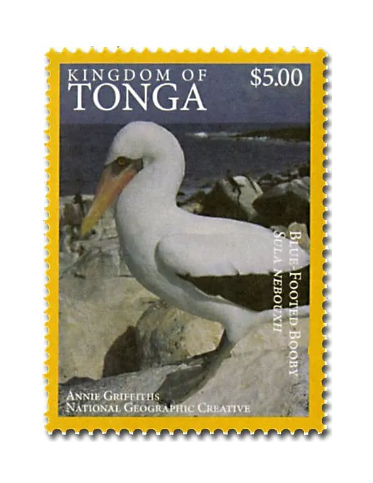 n° 1468A - Timbre TONGA Poste