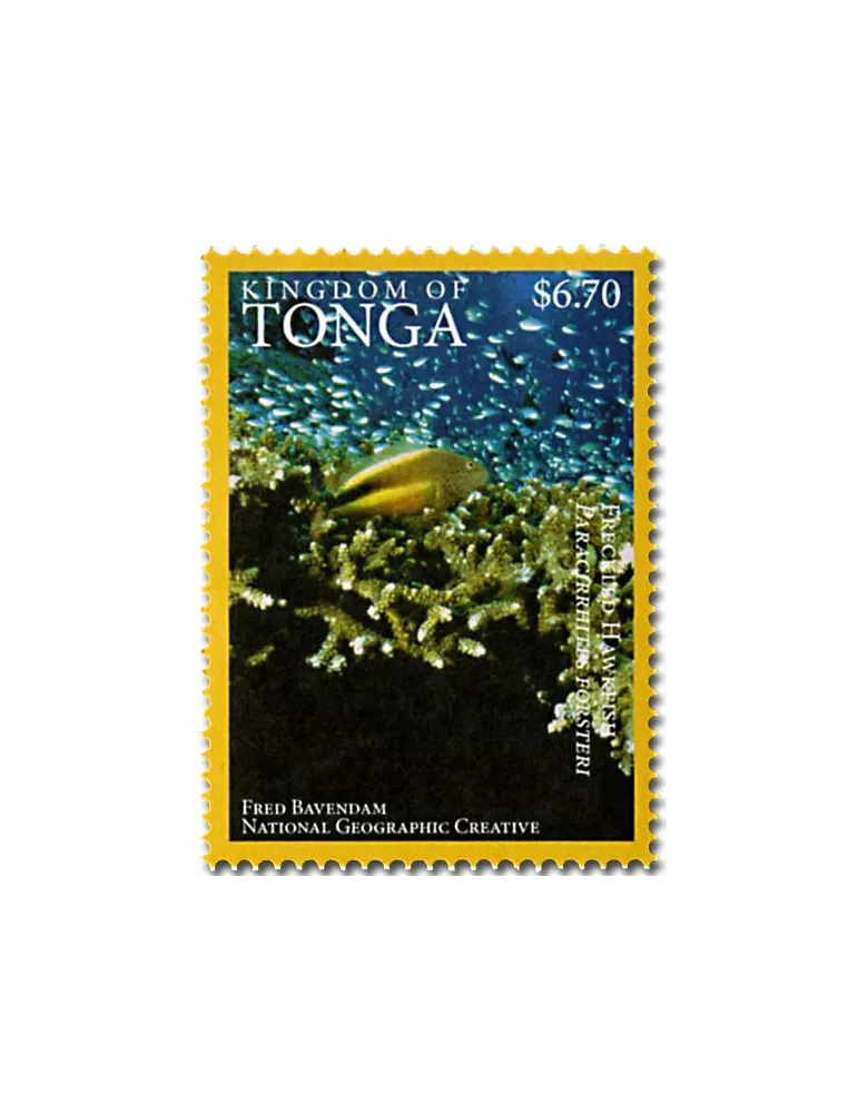 n° 1468A - Timbre TONGA Poste