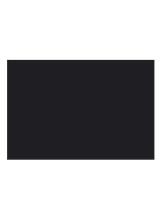 SUPPORT CARTONNE NOIR  - SAFE (par 10)