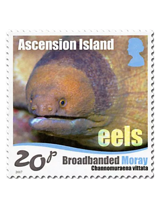 n° 1175/1180 - Timbre ASCENSION Poste