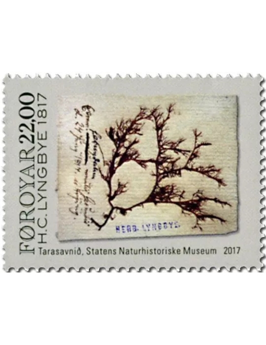 n° 892/895 - Timbre ILE FEROE Poste