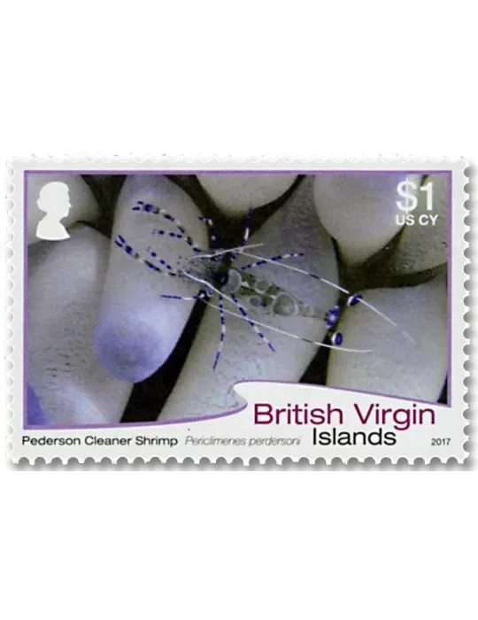 n° 1144/1155 - Timbre VIERGES Poste