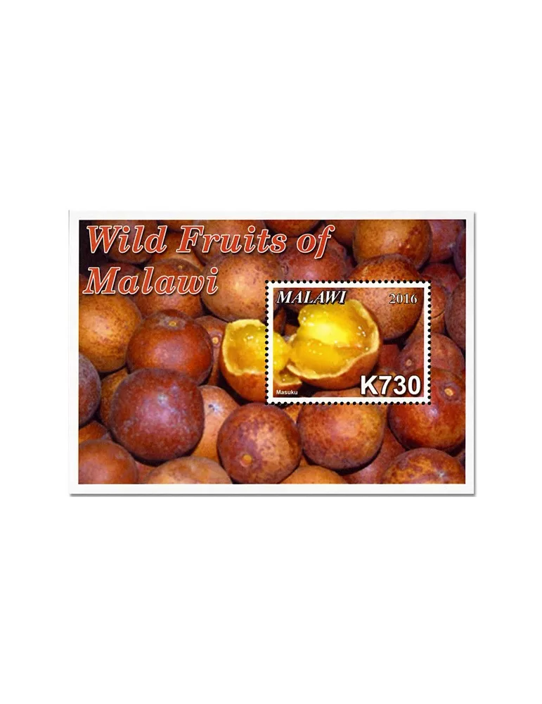 n° 109/114 - Timbre MALAWI Blocs et feuillets