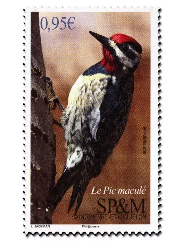 n° 1198 - Timbre Saint-Pierre et Miquelon Poste