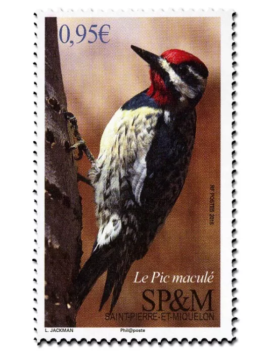n° 1198 - Timbre Saint-Pierre et Miquelon Poste
