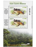 n° 58 - Timbre COSTA RICA Blocs et feuillets