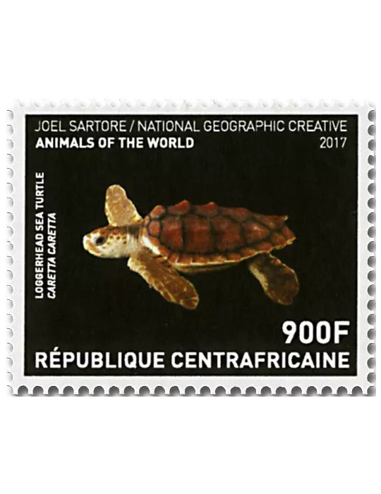 n° 5269/5272 - Timbre CENTRAFRIQUE Poste
