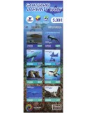n° C2762 - Timbre EQUATEUR Carnets