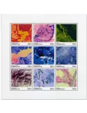 n° 1075/1083 - Timbre AZERBAIDJAN Poste