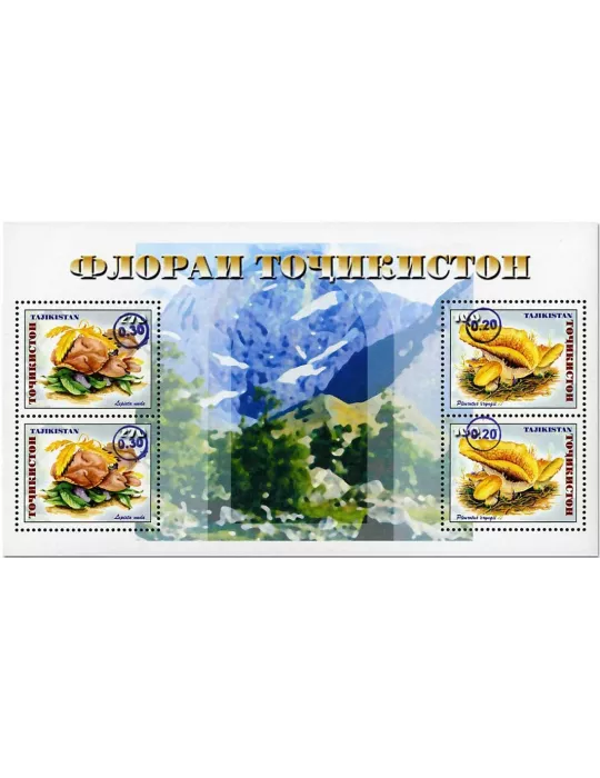 n° 77 - Timbre TADJIKISTAN Blocs et feuillets