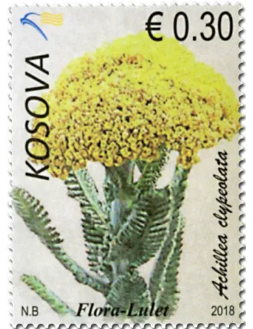 n° 289/293 - Timbre KOSOVO Poste