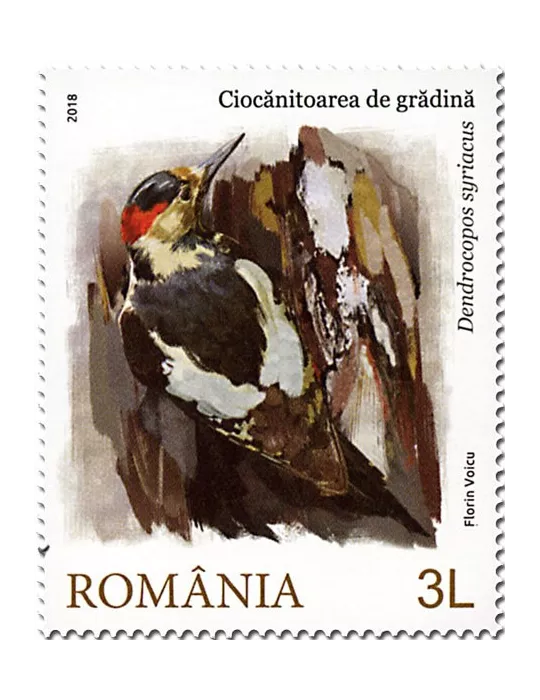 n° 6360/6363 - Timbre ROUMANIE Poste