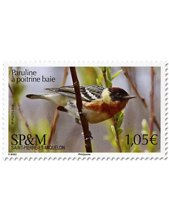 n° 1214 - Timbre Saint-Pierre et Miquelon Poste