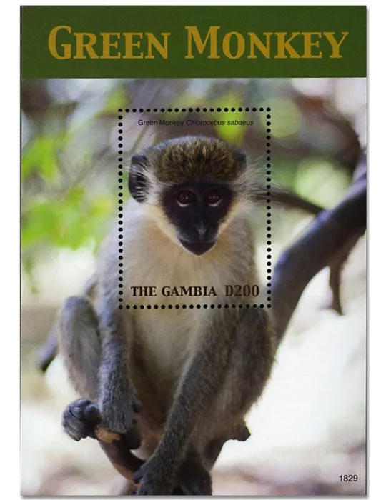 n° 914 - Timbre GAMBIE Blocs et feuillets