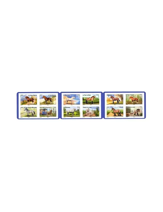 n° BC813 -  Timbre France Carnets Divers