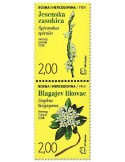 n° 455/456 - Timbre HERCEG-BOSNA Poste