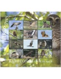 n° F61 - Timbre RAROTONGA Poste