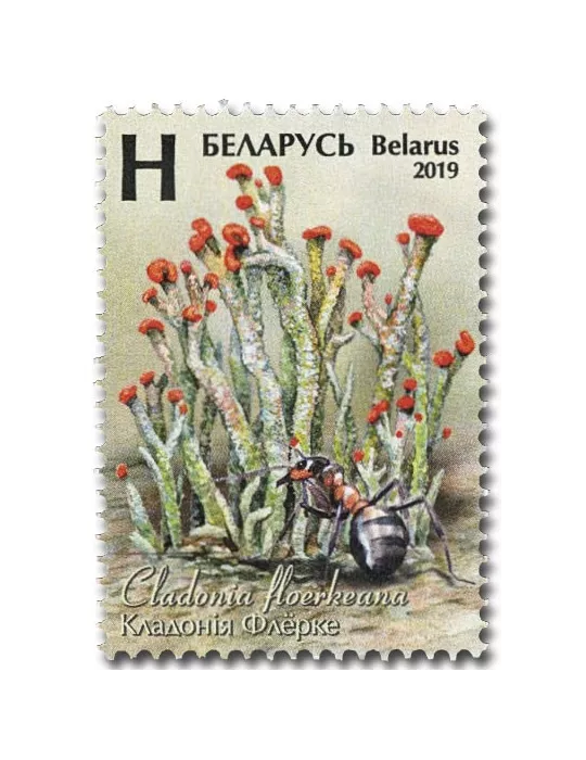 n° 1089/1091 - Timbre BIELORUSSIE Poste