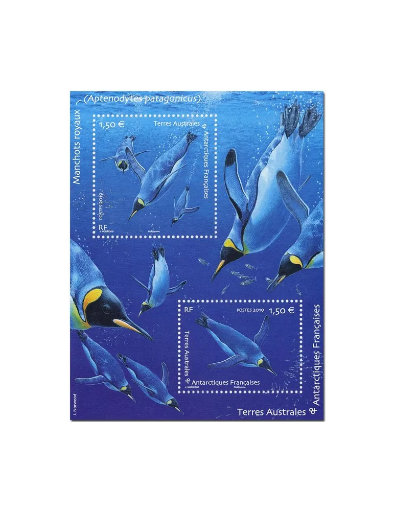 n° F910 - Timbre TAAF Poste