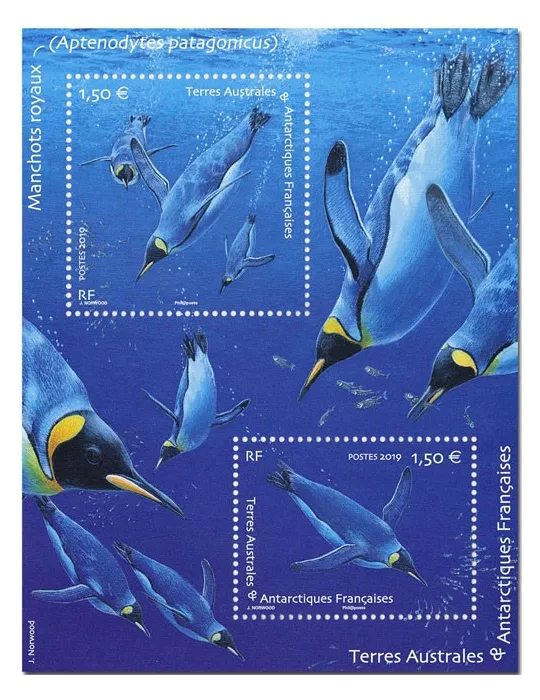 n° F910 - Timbre TAAF Poste