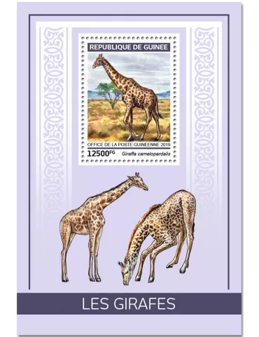 n° 2325/2328 - Timbre GUINÉE Blocs et feuillets