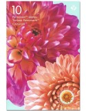 n° C3682 - Timbre CANADA Carnets