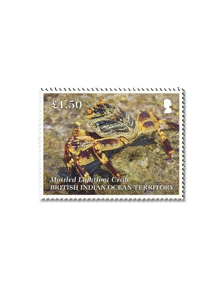 n° 563/567 - Timbre OCEAN INDIEN Poste