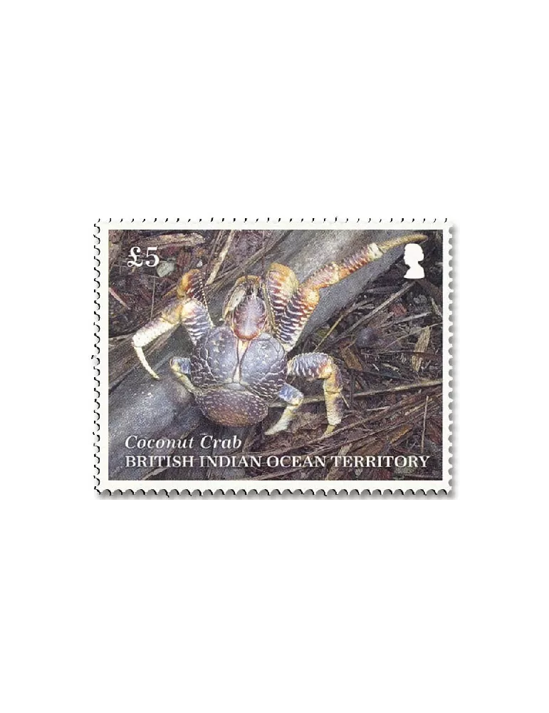 n° 563/567 - Timbre OCEAN INDIEN Poste