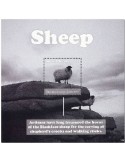 n° 794 - Timbre ANTIGUA Blocs et feuillets