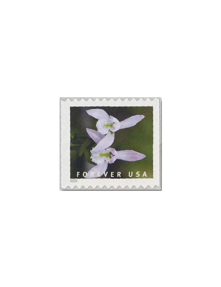 n° 5292a/5301a - Timbre ETATS-UNIS D´AMERIQUE Poste