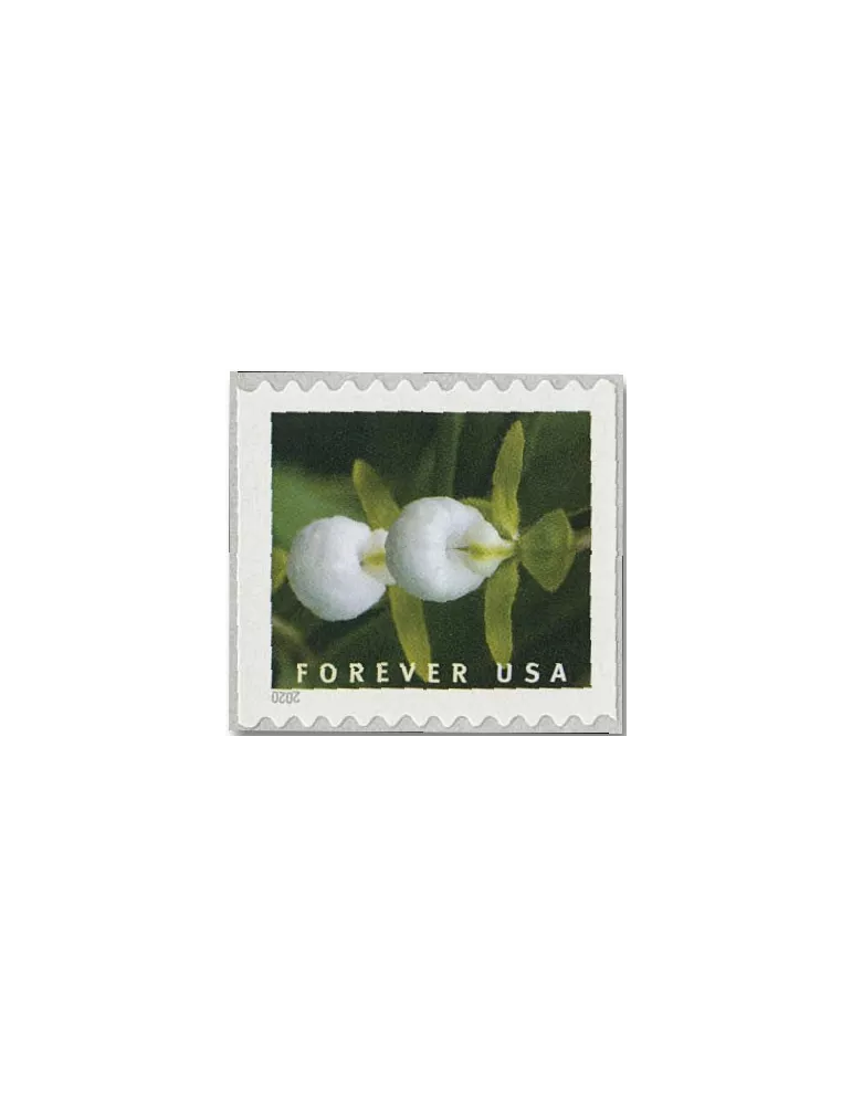 n° 5292a/5301a - Timbre ETATS-UNIS D´AMERIQUE Poste