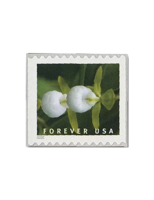 n° 5292a/5301a - Timbre ETATS-UNIS D´AMERIQUE Poste